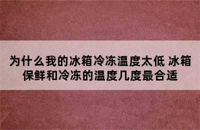 为什么我的冰箱冷冻温度太低 冰箱保鲜和冷冻的温度几度最合适